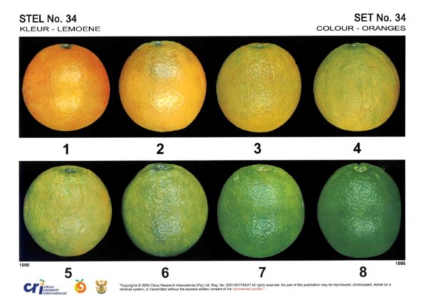 Orange Colour Poster A3 - Set No. 34