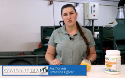 How to take a swab sample by Catherine Savage