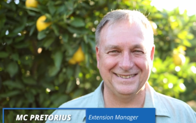 CRI Diagnostic Centre – Nelspruit by Dr. MC Pretorius
